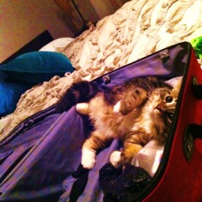 To New Orleans We&nbsp;Go